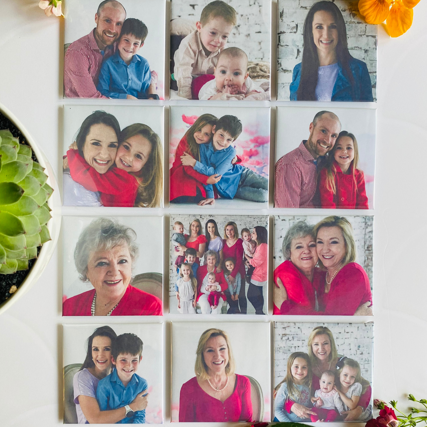 The Portrait Collection (12)